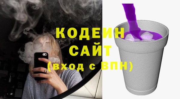 молекула духа Надым