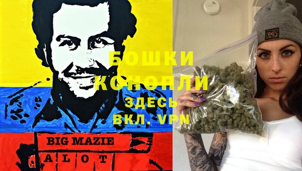 молекула духа Надым