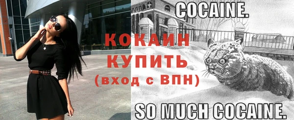молекула духа Надым