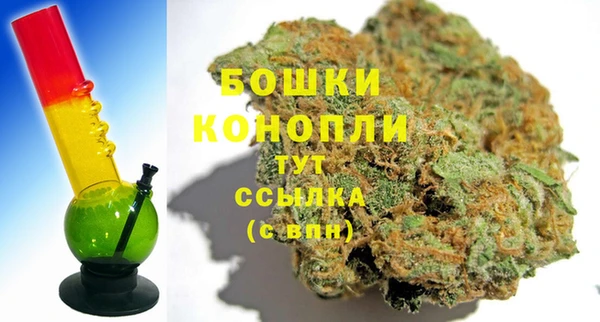 молекула духа Надым