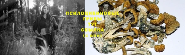 молекула духа Надым