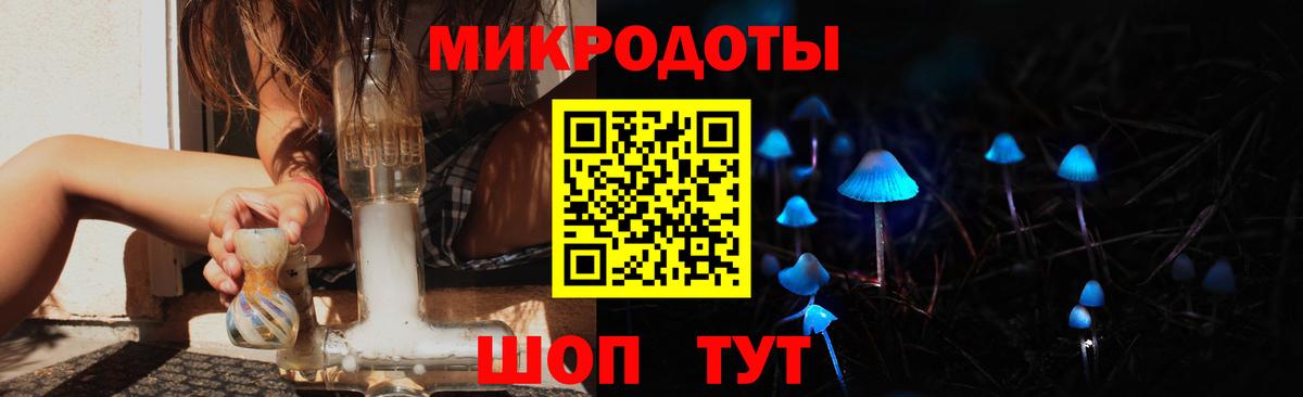 Псилоцибиновые грибы Psilocybe  Лосино-Петровский  Псилоцибиновые грибы прущие грибы 